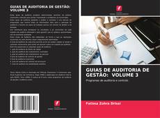 GUIAS DE AUDITORIA DE GESTÃO: VOLUME 3 kitap kapağı