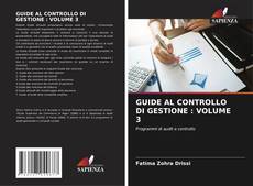 GUIDE AL CONTROLLO DI GESTIONE : VOLUME 3 kitap kapağı