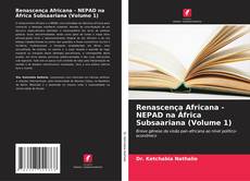 Обложка Renascença Africana - NEPAD na África Subsaariana (Volume 1)