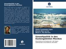 Bookcover of Umweltpolitik in den Küstengebieten Mexikos