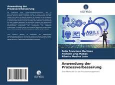 Bookcover of Anwendung der Prozessverbesserung
