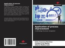 Buchcover von Application of process improvement