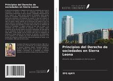 Buchcover von Principios del Derecho de sociedades en Sierra Leona