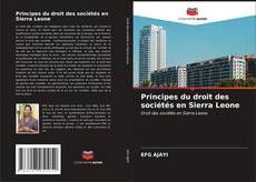 Principes du droit des sociétés en Sierra Leone kitap kapağı