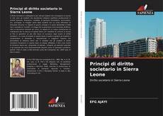 Principi di diritto societario in Sierra Leone kitap kapağı