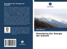 Capa do livro de Brennbares Eis: Energie der Zukunft 
