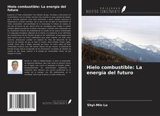 Bookcover of Hielo combustible: La energía del futuro