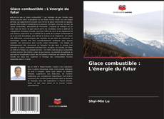 Buchcover von Glace combustible : L'énergie du futur