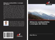 Capa do livro de Ghiaccio combustibile: L'energia del futuro 
