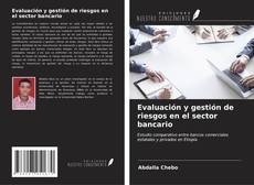 Capa do livro de Evaluación y gestión de riesgos en el sector bancario 