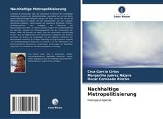 Portada del libro de Nachhaltige Metropolitisierung