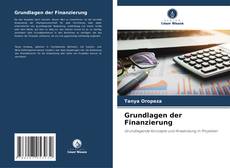 Capa do livro de Grundlagen der Finanzierung 
