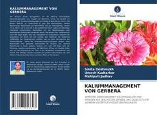Bookcover of KALIUMMANAGEMENT VON GERBERA