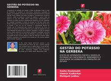 Buchcover von GESTÃO DO POTÁSSIO NA GERBERA