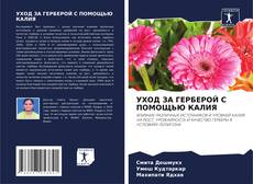Bookcover of УХОД ЗА ГЕРБЕРОЙ С ПОМОЩЬЮ КАЛИЯ