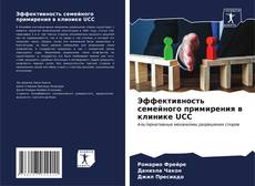 Bookcover of Эффективность семейного примирения в клинике UCC