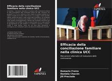 Bookcover of Efficacia della conciliazione familiare nella clinica UCC