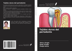 Bookcover of Tejidos duros del periodonto