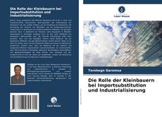 Bookcover of Die Rolle der Kleinbauern bei Importsubstitution und Industrialisierung