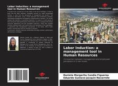 Capa do livro de Labor Induction: a management tool in Human Resources 