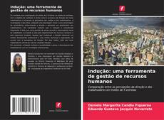 Couverture de Indução: uma ferramenta de gestão de recursos humanos