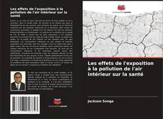 Bookcover of Les effets de l'exposition à la pollution de l'air intérieur sur la santé