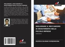 Buchcover von MIGLIORARE IL MECCANISMO DI INVESTIMENTO NELLE PICCOLE IMPRESE
