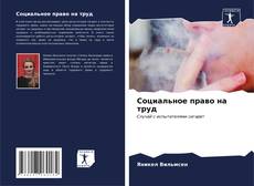 Bookcover of Социальное право на труд