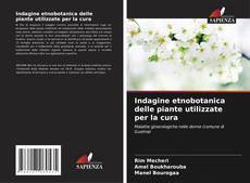 Buchcover von Indagine etnobotanica delle piante utilizzate per la cura