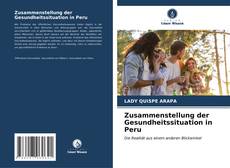 Copertina di Zusammenstellung der Gesundheitssituation in Peru