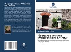 Übergänge zwischen Philosophie und Literatur: kitap kapağı