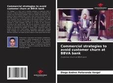 Commercial strategies to avoid customer churn at BBVA bank kitap kapağı