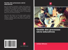 Gestão dos processos sócio-educativos kitap kapağı