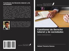 Cuestiones de Derecho laboral y de sociedades kitap kapağı
