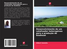 Desenvolvimento de um catalisador heterogéneo para a produção de biodiesel kitap kapağı