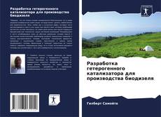 Bookcover of Разработка гетерогенного катализатора для производства биодизеля