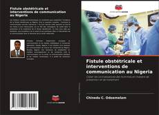 Copertina di Fistule obstétricale et interventions de communication au Nigeria