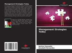 Management Strategies Today kitap kapağı
