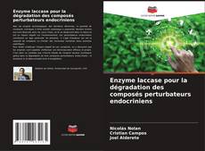 Buchcover von Enzyme laccase pour la dégradation des composés perturbateurs endocriniens