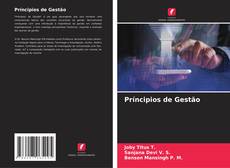 Bookcover of Príncipios de Gestão