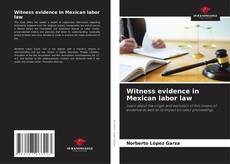 Buchcover von Witness evidence in Mexican labor law
