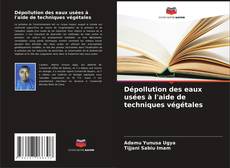 Bookcover of Dépollution des eaux usées à l'aide de techniques végétales