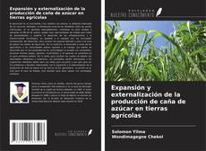 Buchcover von Expansión y externalización de la producción de caña de azúcar en tierras agrícolas