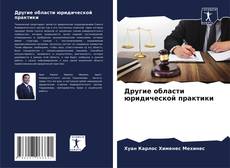 Bookcover of Другие области юридической практики