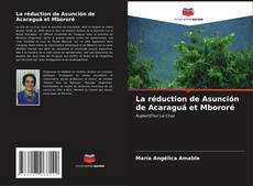La réduction de Asunción de Acaraguá et Mbororé的封面