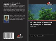 La riduzione di Asunción de Acaraguá e Mbororé kitap kapağı