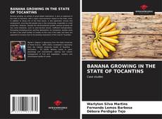 Buchcover von BANANA GROWING IN THE STATE OF TOCANTINS