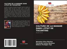 Borítókép a  CULTURE DE LA BANANE DANS L'ÉTAT DE TOCANTINS - hoz