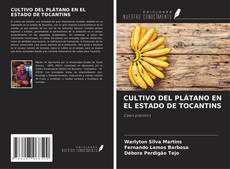 Buchcover von CULTIVO DEL PLÁTANO EN EL ESTADO DE TOCANTINS