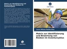 Capa do livro de Matrix zur Identifizierung und Bewertung von Risiken im Inventurzyklus 